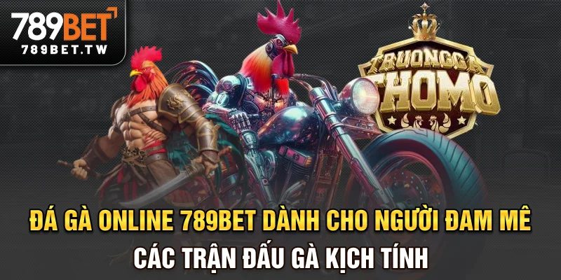 Đá gà online 789bet dành cho người đam mê các trận đấu gà kịch tính