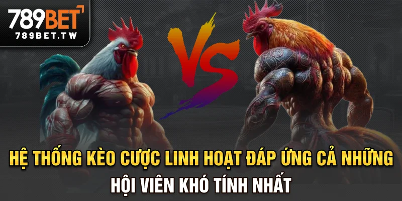 Hệ thống kèo cược linh hoạt, đáp ứng cả những hội viên khó tính nhất